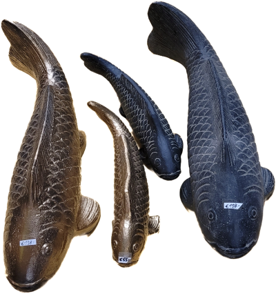 Koi